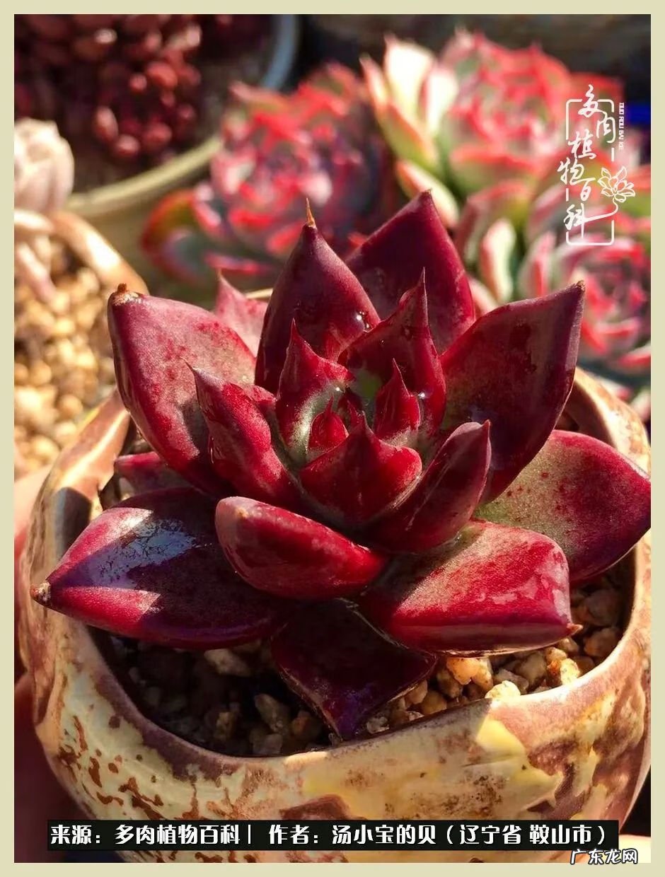 西北电梯风水讲解 东北楼梯风水