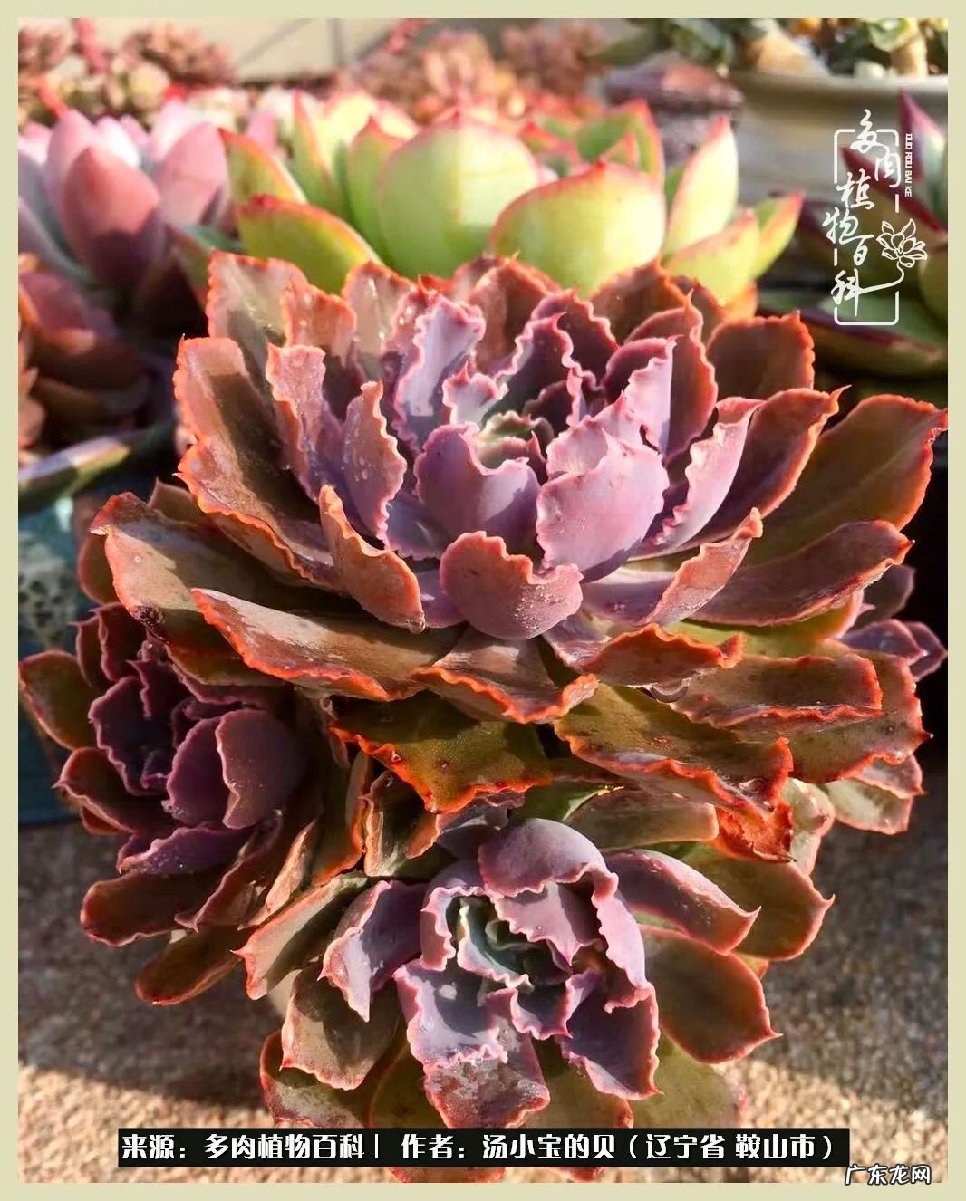 西北电梯风水讲解 东北楼梯风水