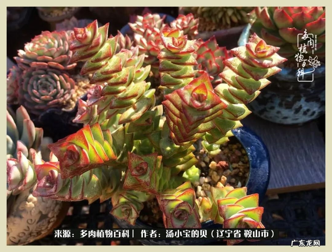 西北电梯风水讲解 东北楼梯风水