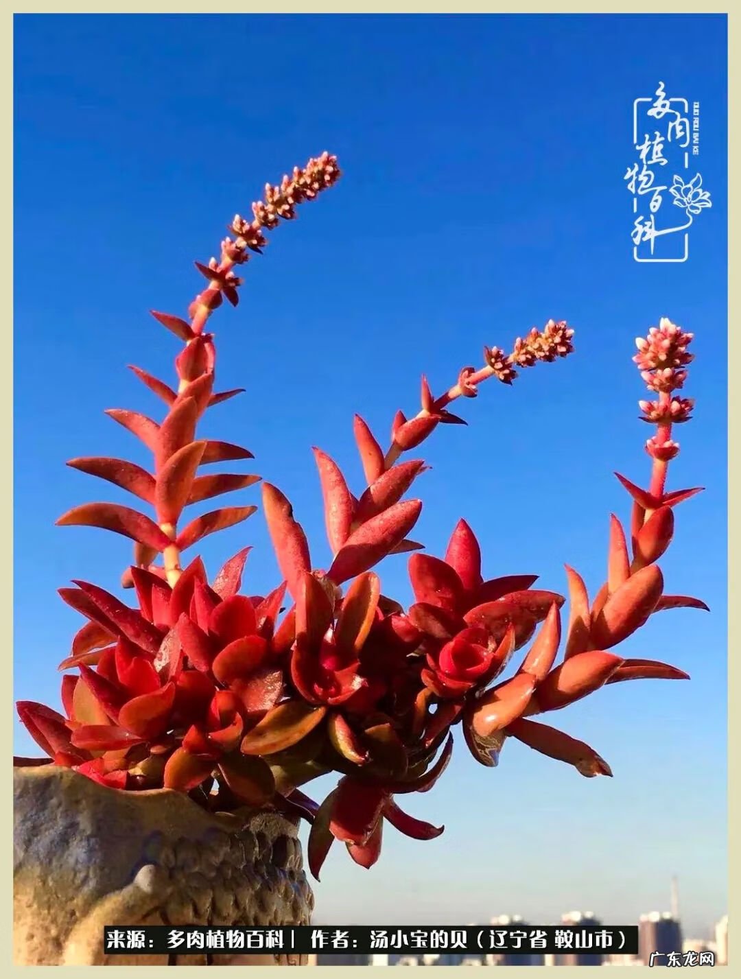 西北电梯风水讲解 东北楼梯风水