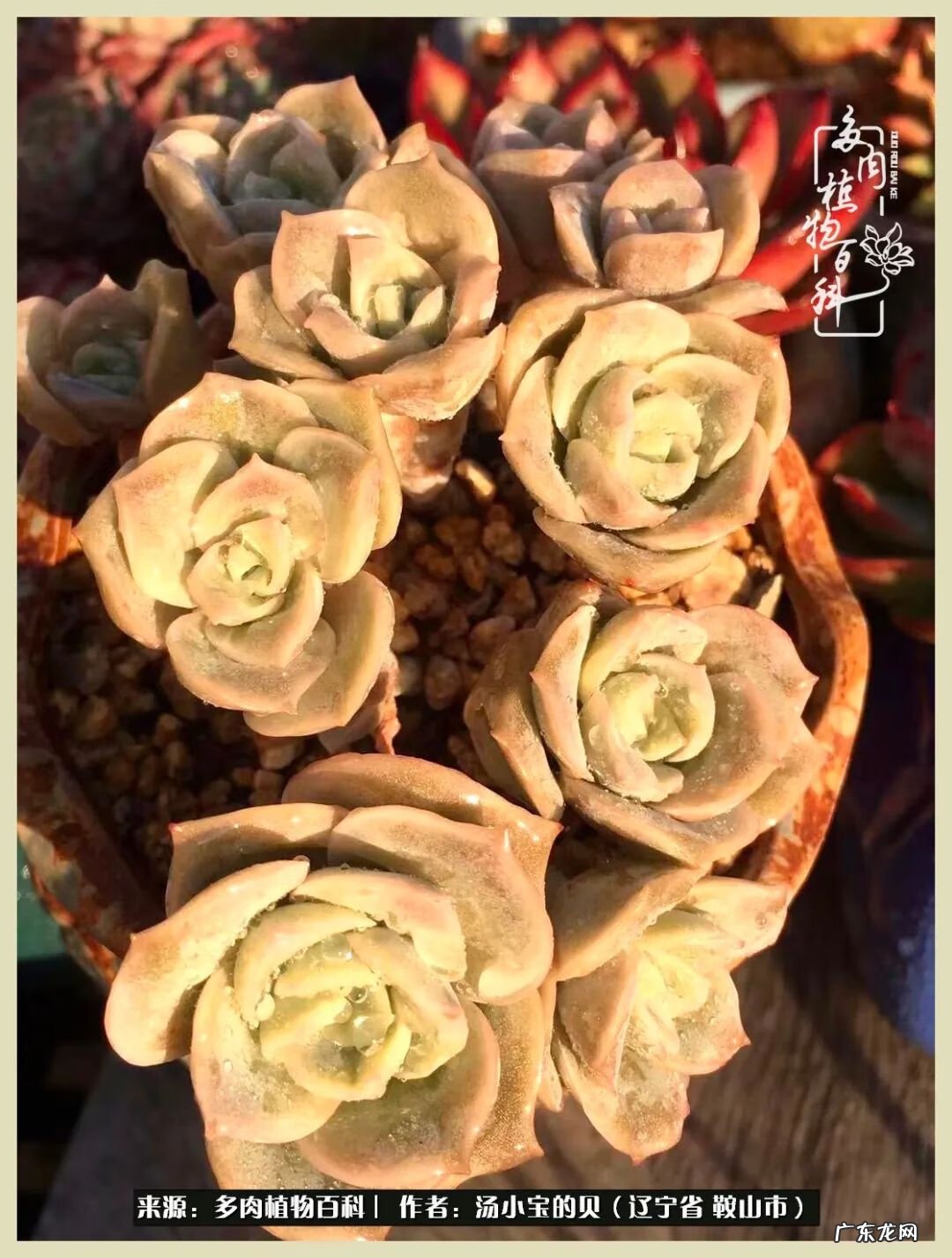 西北电梯风水讲解 东北楼梯风水