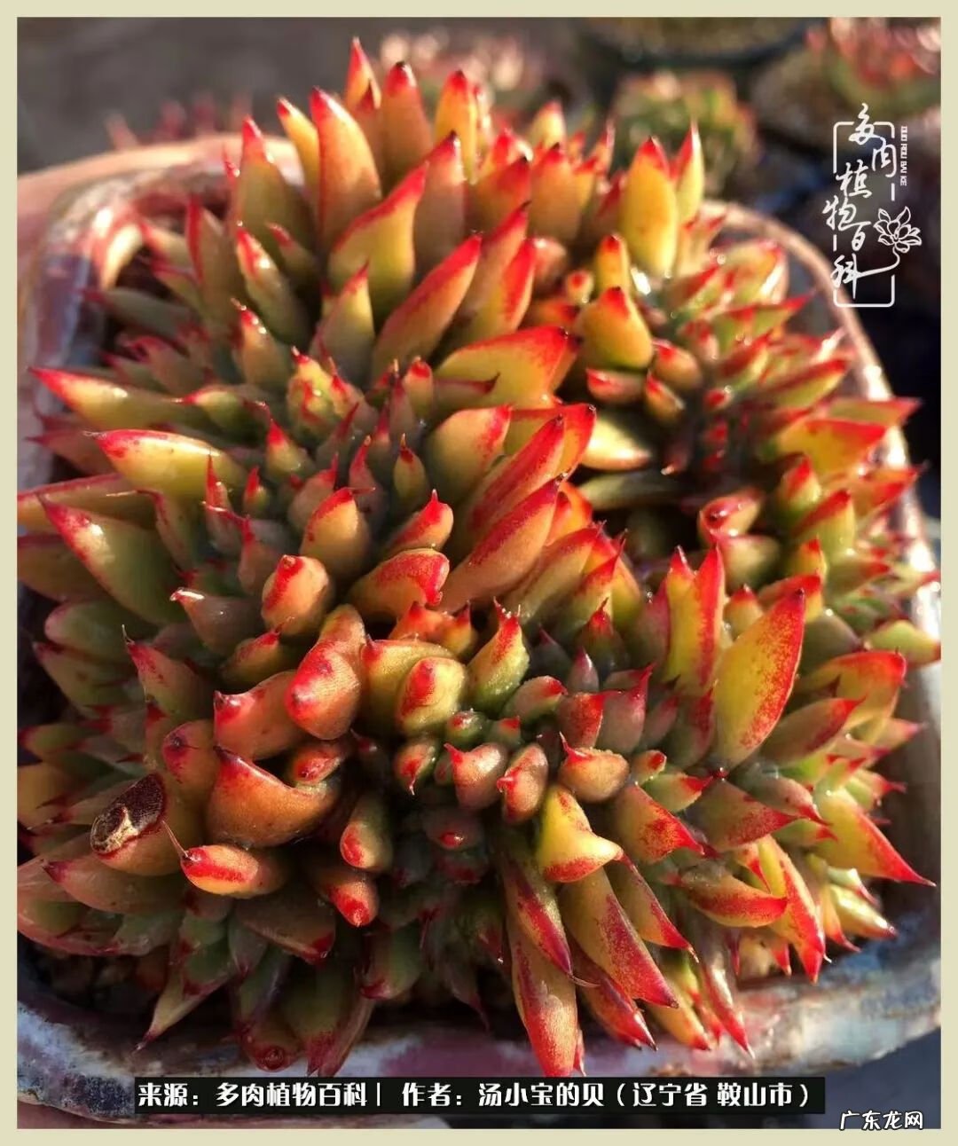 西北电梯风水讲解 东北楼梯风水