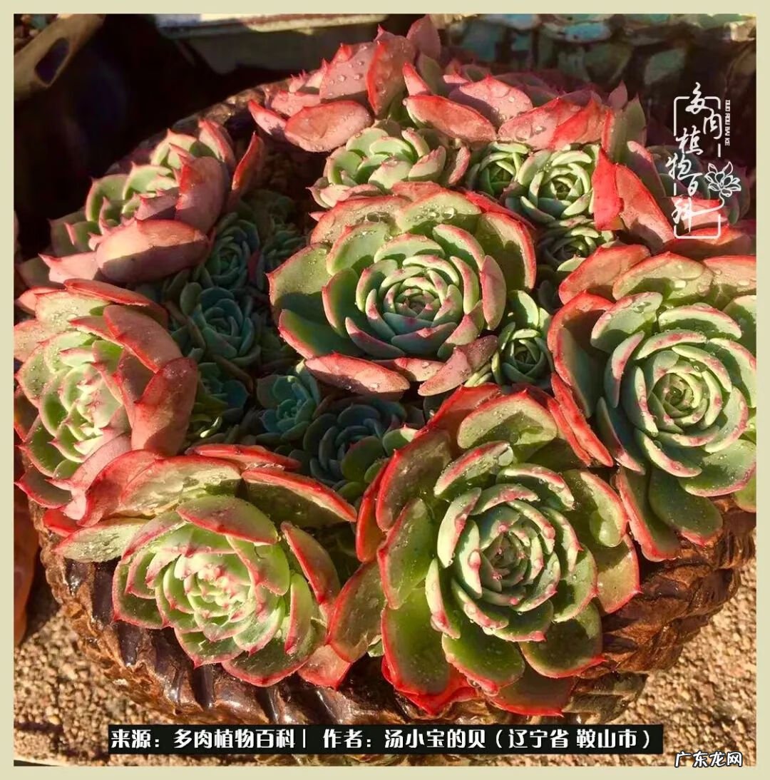 西北电梯风水讲解 东北楼梯风水