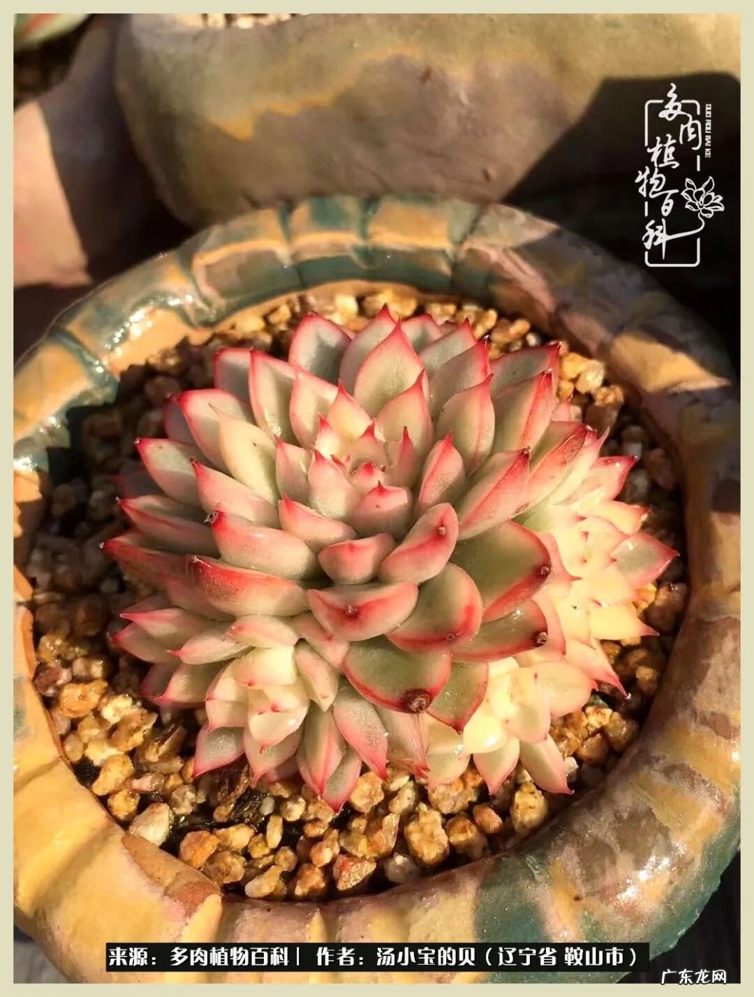 西北电梯风水讲解 东北楼梯风水