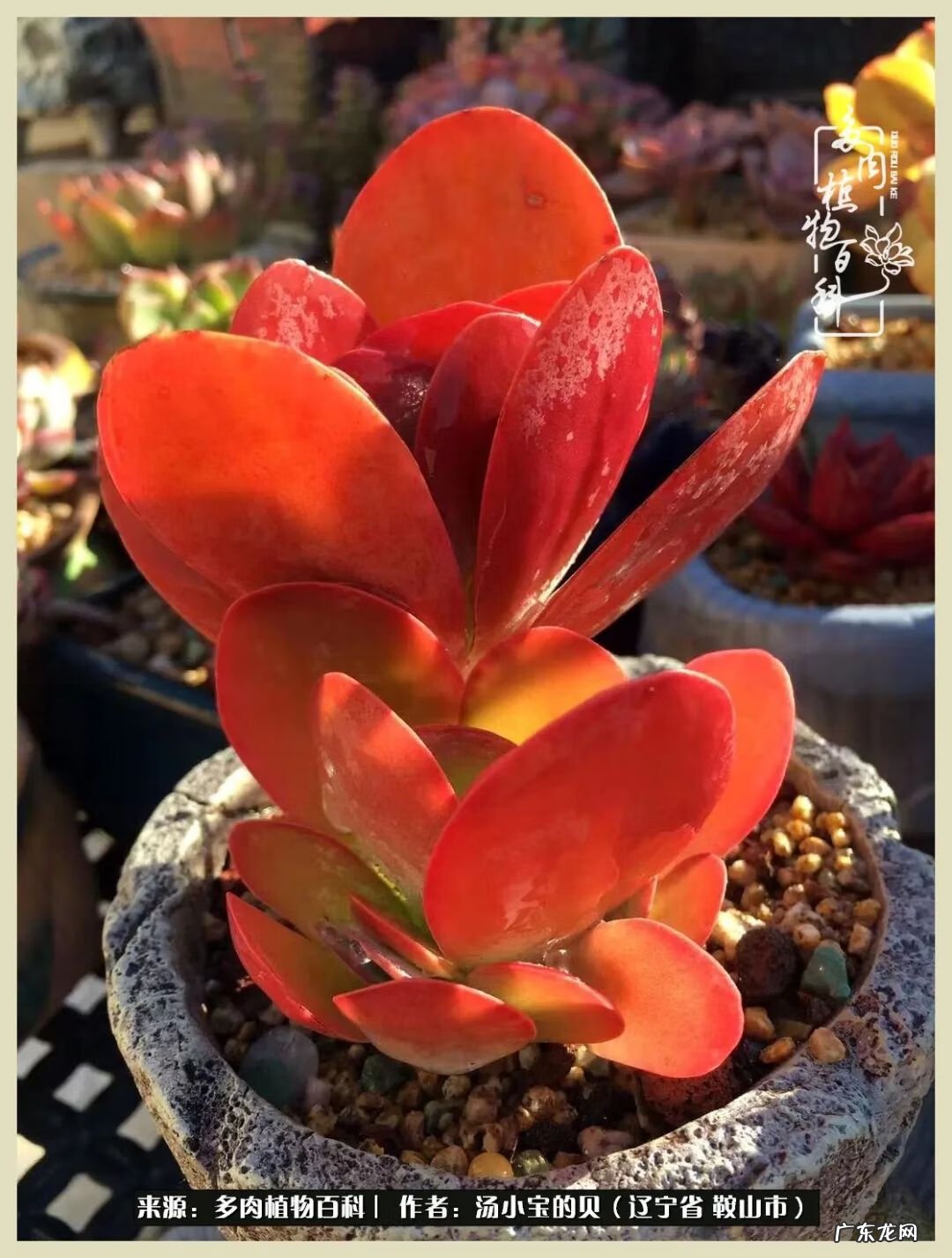 西北电梯风水讲解 东北楼梯风水