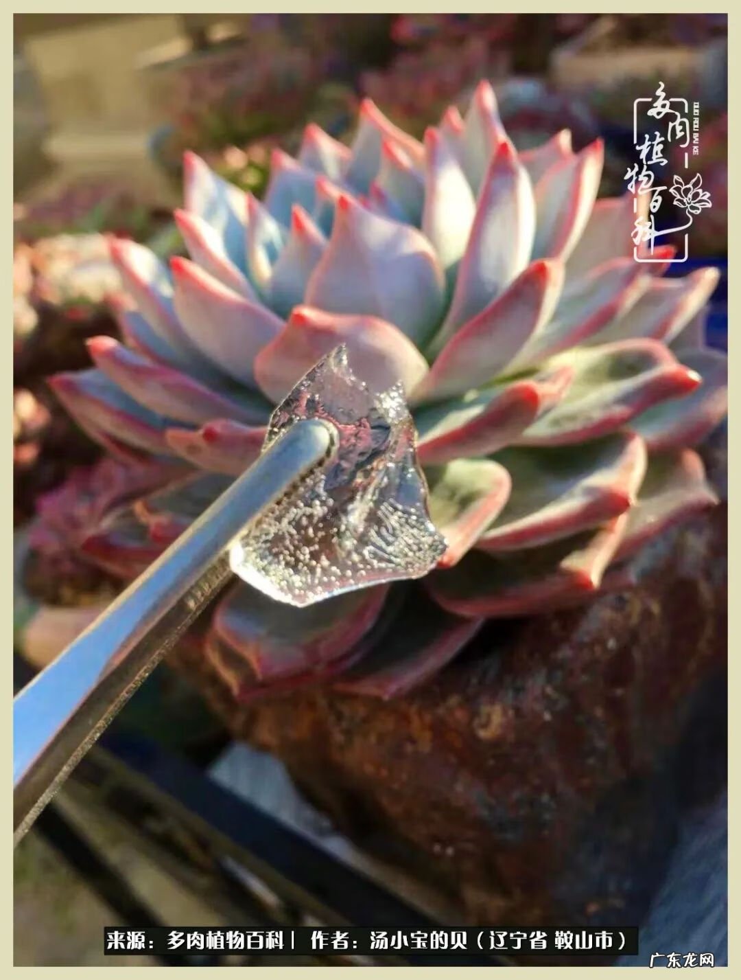 西北电梯风水讲解 东北楼梯风水