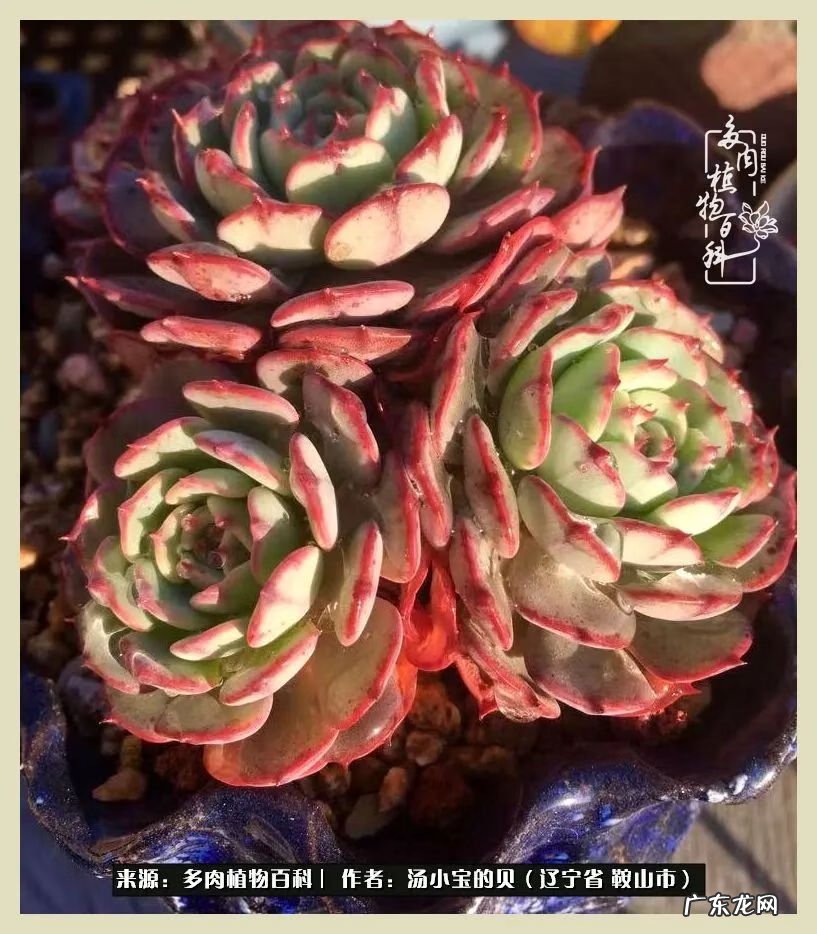 西北电梯风水讲解 东北楼梯风水