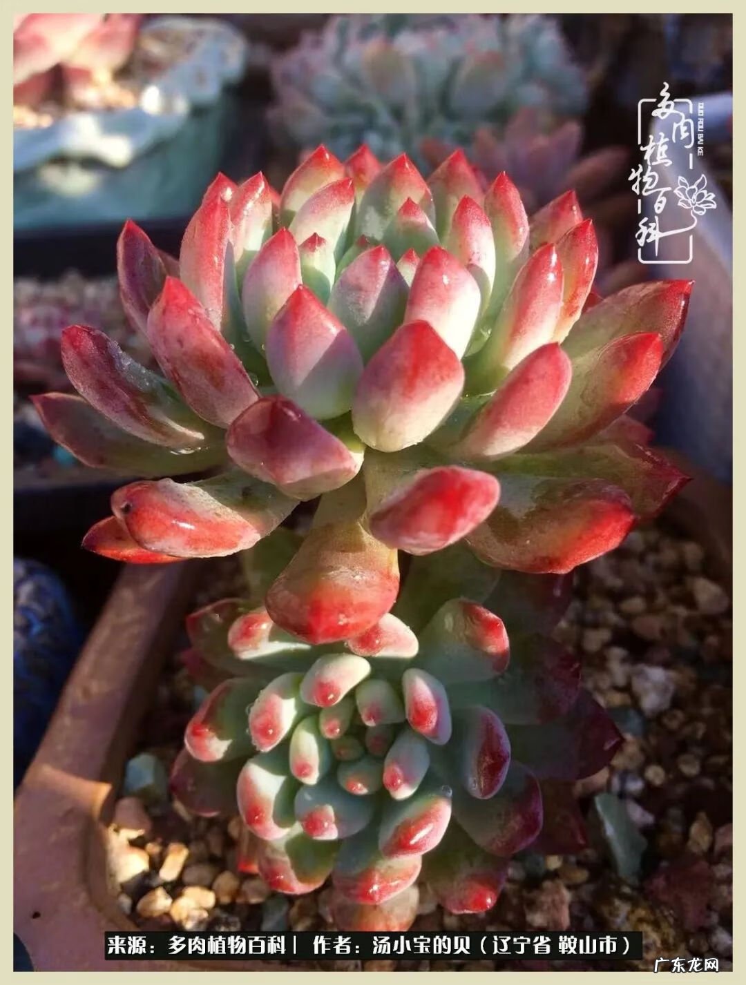 西北电梯风水讲解 东北楼梯风水