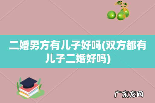 双方都有儿子二婚好吗 二婚男方有儿子好吗