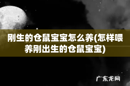 怎样喂养刚出生的仓鼠宝宝 刚生的仓鼠宝宝怎么养