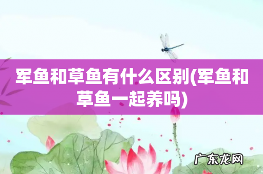 军鱼和草鱼一起养吗 军鱼和草鱼有什么区别