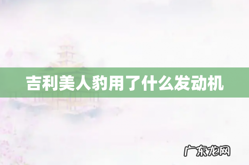 吉利美人豹用了什么发动机