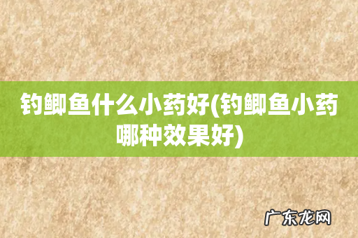 钓鲫鱼小药哪种效果好 钓鲫鱼什么小药好