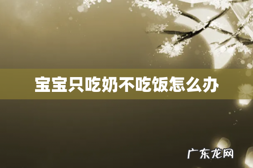 宝宝只吃奶不吃饭怎么办