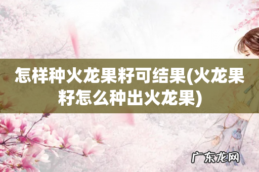 火龙果籽怎么种出火龙果 怎样种火龙果籽可结果