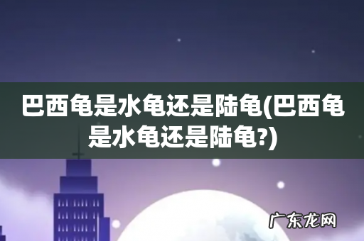 巴西龟是水龟还是陆龟? 巴西龟是水龟还是陆龟