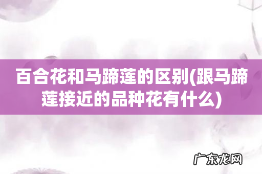 跟马蹄莲接近的品种花有什么 百合花和马蹄莲的区别