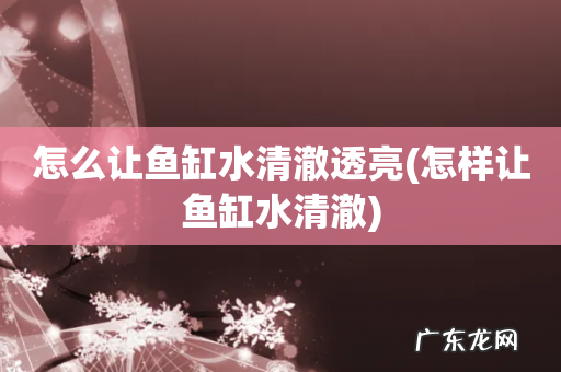 怎样让鱼缸水清澈 怎么让鱼缸水清澈透亮