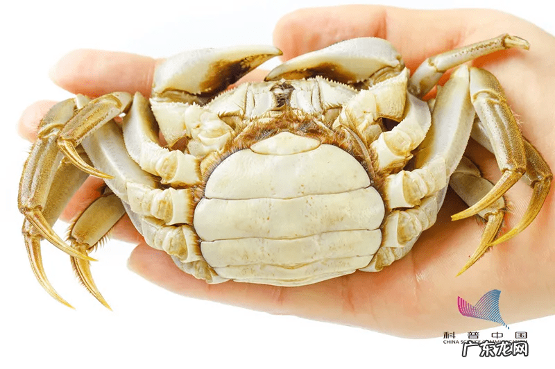 刚死不久的螃蟹能吃吗 刚死的螃蟹能吃吗