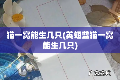 英短蓝猫一窝能生几只 猫一窝能生几只
