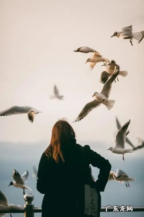 好的状态是最好的风水