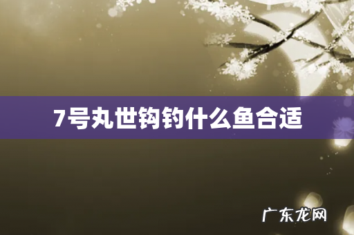 7号丸世钩钓什么鱼合适