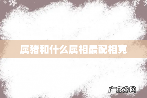 属猪和什么属相最配相克