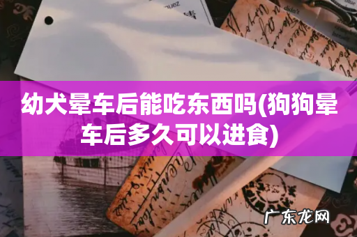 狗狗晕车后多久可以进食 幼犬晕车后能吃东西吗