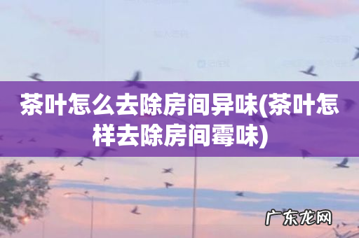 茶叶怎样去除房间霉味 茶叶怎么去除房间异味