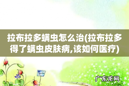 拉布拉多得了螨虫皮肤病,该如何医疗 拉布拉多螨虫怎么治