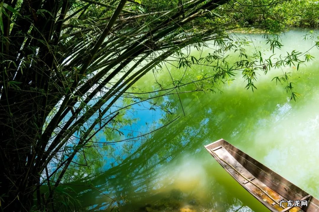 长恨春归无觅处句意 长恨春归无觅处全诗