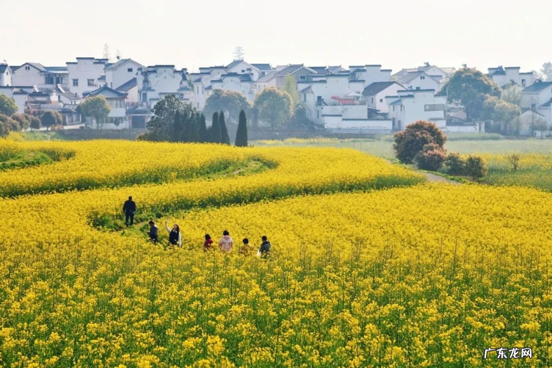 长恨春归无觅处句意 长恨春归无觅处全诗