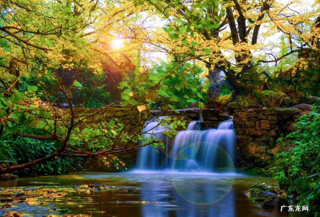 长恨春归无觅处句意 长恨春归无觅处全诗