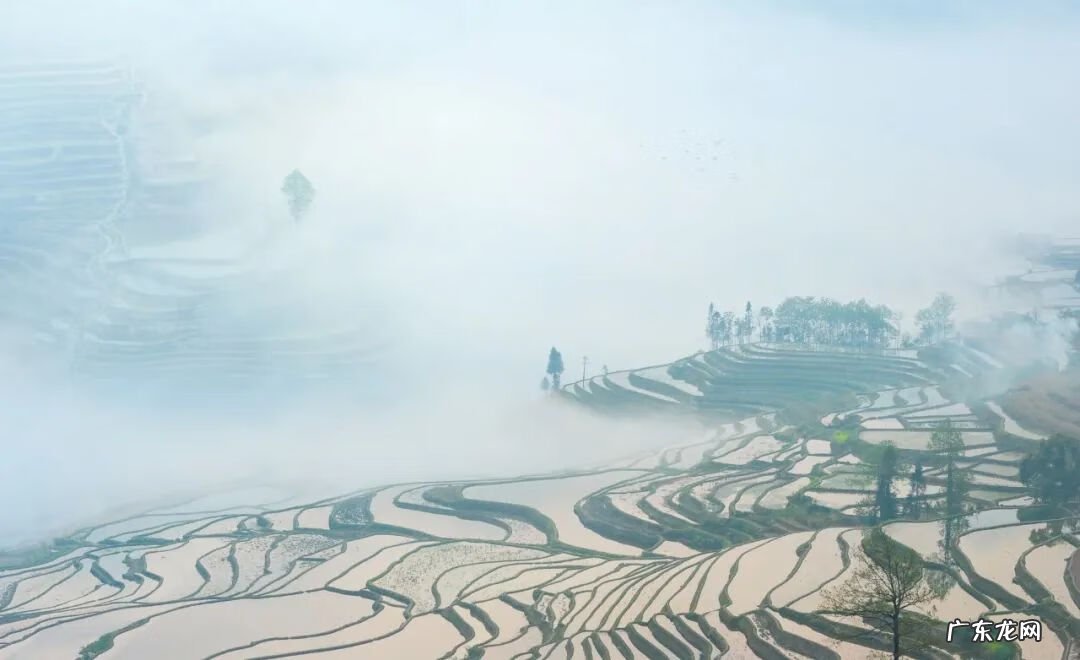 长恨春归无觅处句意 长恨春归无觅处全诗