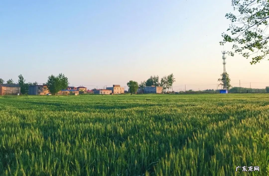 长恨春归无觅处句意 长恨春归无觅处全诗