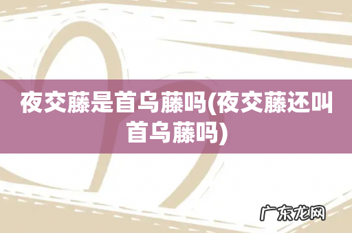 夜交藤还叫首乌藤吗 夜交藤是首乌藤吗