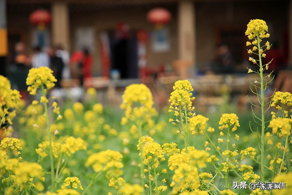 平原地区如何看风水 平原风水怎么看