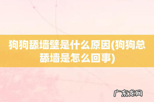 狗狗总舔墙是怎么回事 狗狗舔墙壁是什么原因