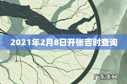 2021年2月8日开张吉时查询