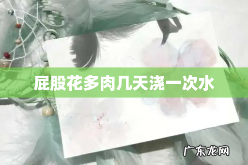 屁股花多肉几天浇一次水