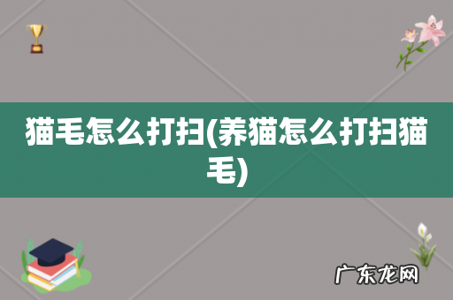 养猫怎么打扫猫毛 猫毛怎么打扫