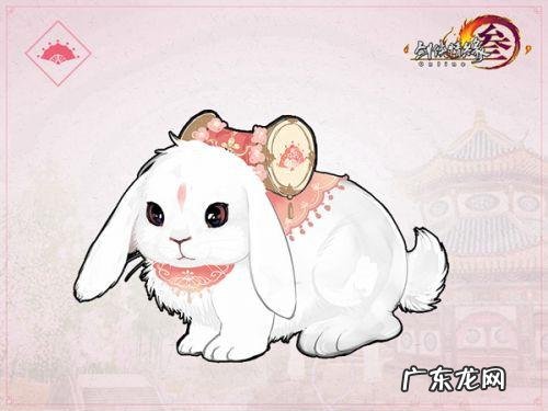 七秀门派跟宠任务 七秀门派跟宠第一只