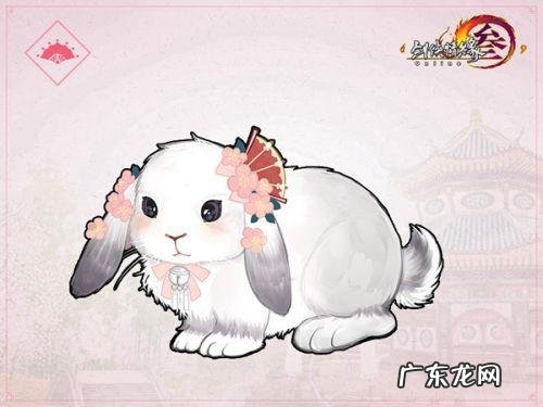 七秀门派跟宠任务 七秀门派跟宠第一只