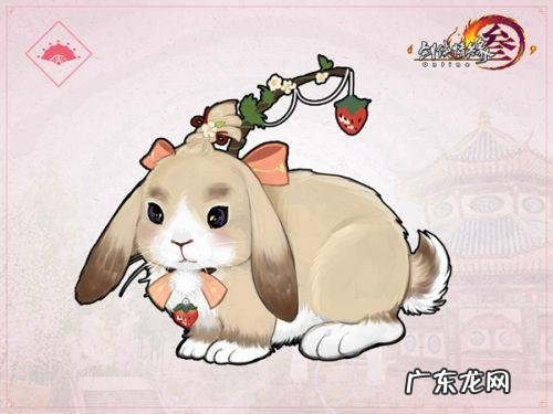 七秀门派跟宠任务 七秀门派跟宠第一只