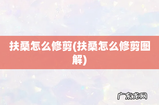 扶桑怎么修剪图解 扶桑怎么修剪