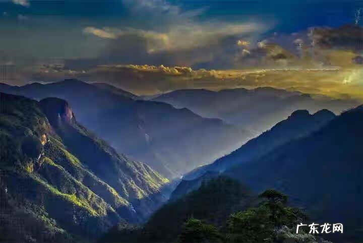 野生杨梅下山桩图片 杨梅树下鳄鱼下山风水