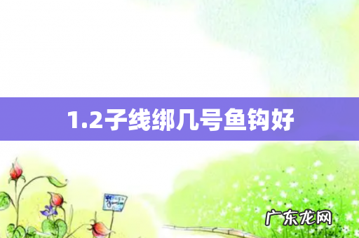 1.2子线绑几号鱼钩好
