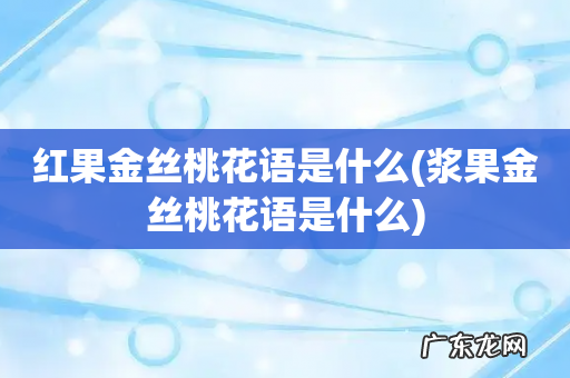 浆果金丝桃花语是什么 红果金丝桃花语是什么