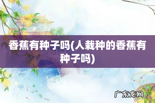 人栽种的香蕉有种子吗 香蕉有种子吗