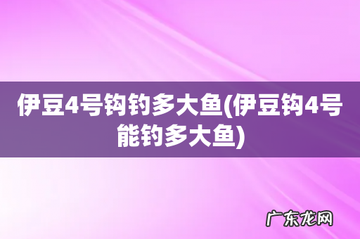 伊豆钩4号能钓多大鱼 伊豆4号钩钓多大鱼